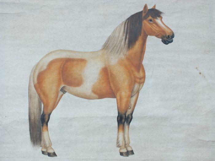 近代画家画马大师戈湘岚款工笔骏马图未裱画芯_近代