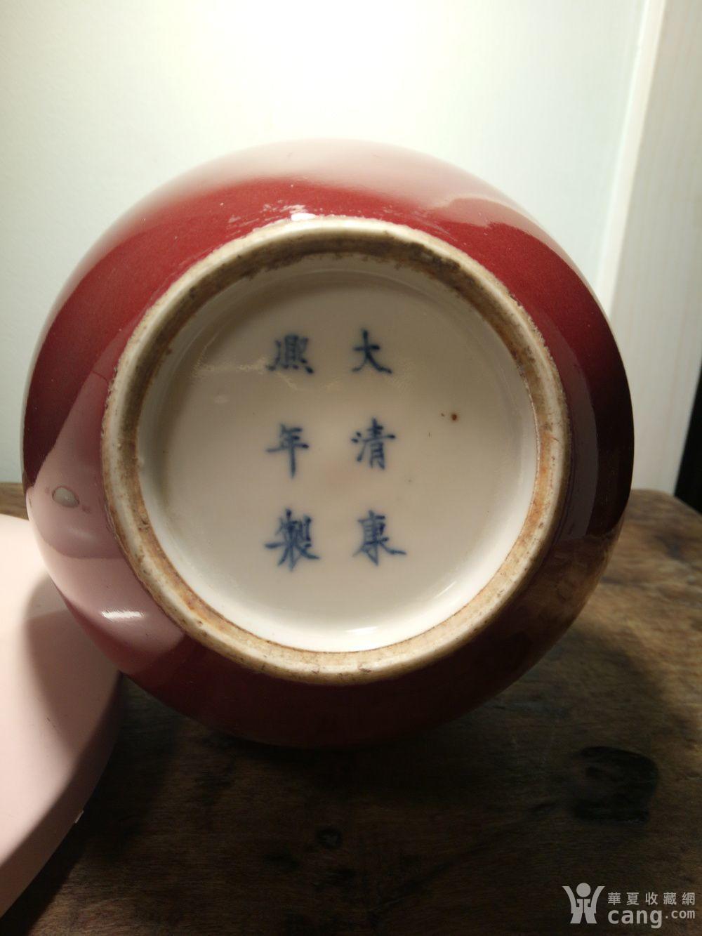康熙豇豆红