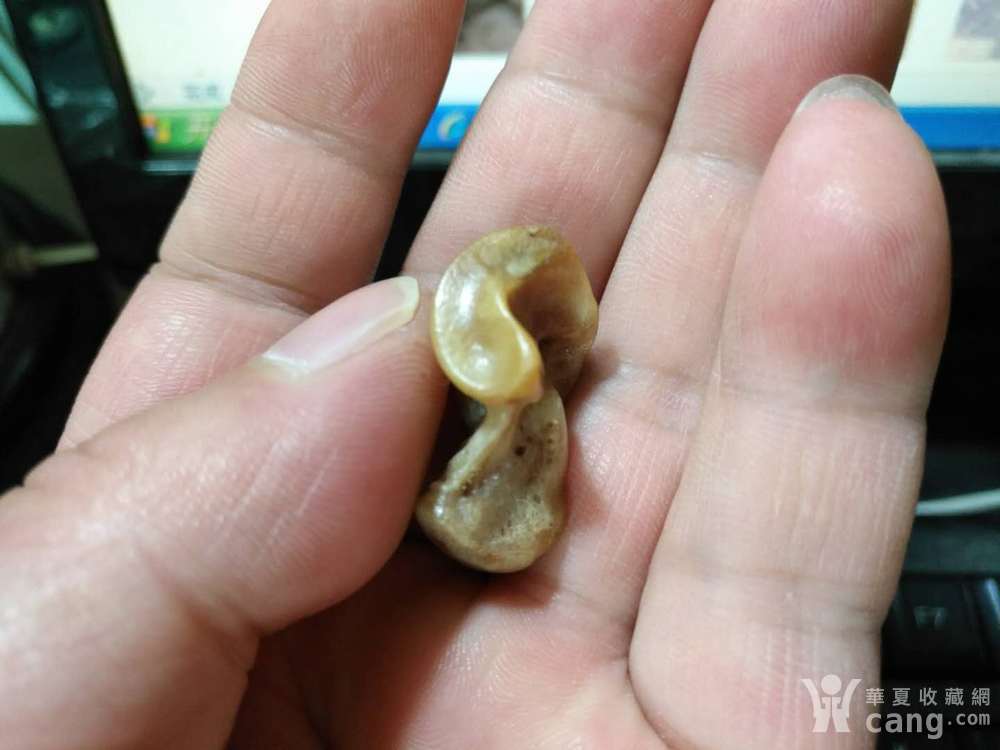 狼髀石_地摊交易_华夏收藏网