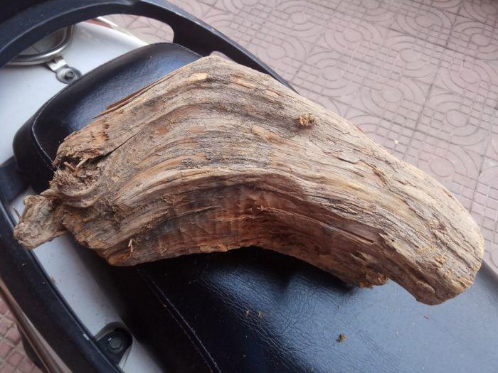 3斤重黑油极品沉水赣产蜜香柏奶香甜味陈化脱骨根兜