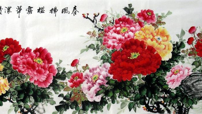 张玉洁手绘国画花鸟字画收藏客厅办公小六尺写意牡丹