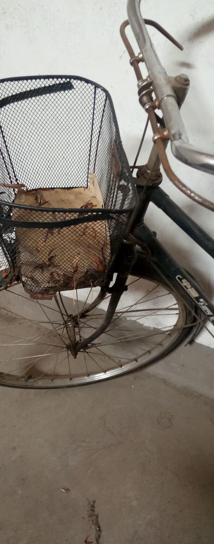 凤凰牌自行车_凤凰牌自行车价格_凤凰牌自行车图片_来