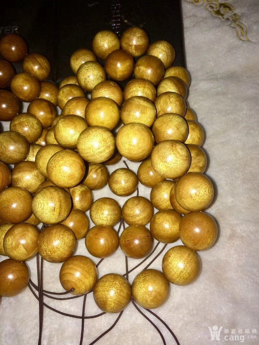 正宗金丝楠小叶桢楠枯木老料2.0x12颗