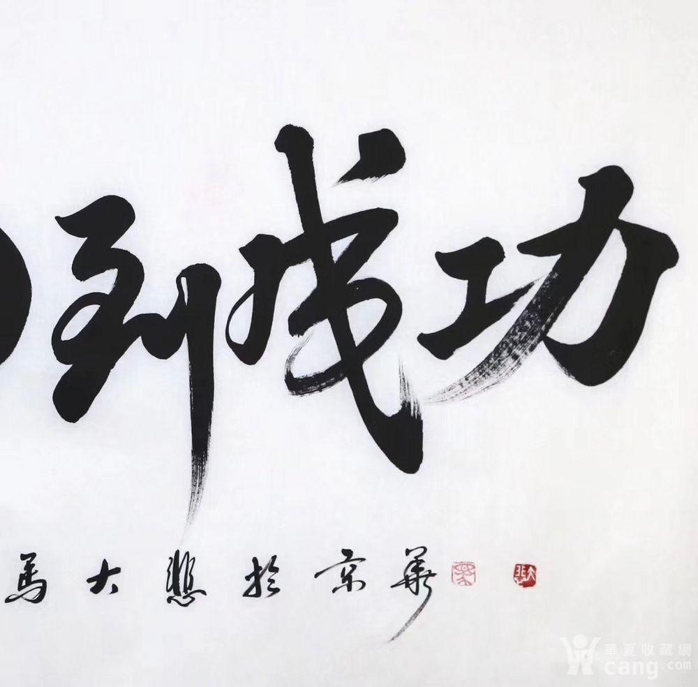 马大悲 马到成功