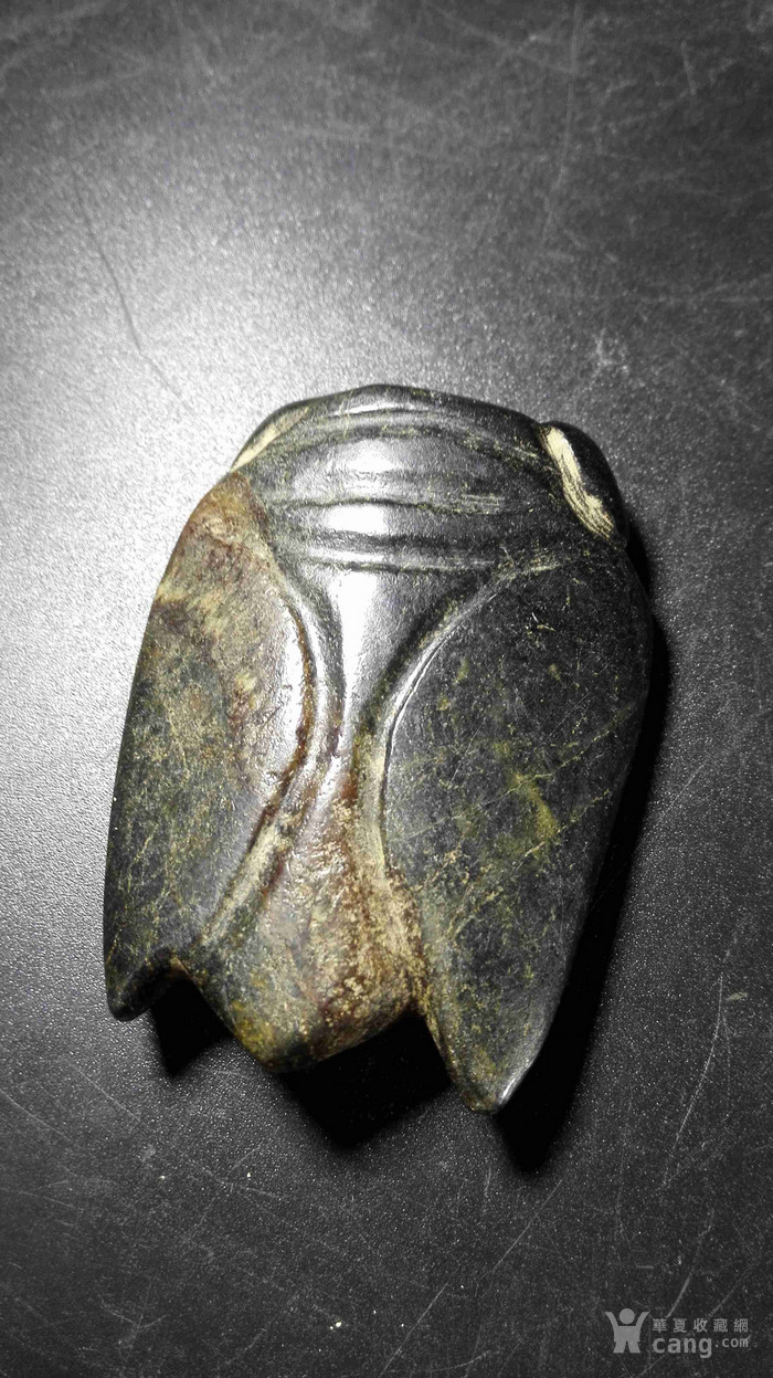 石蝉