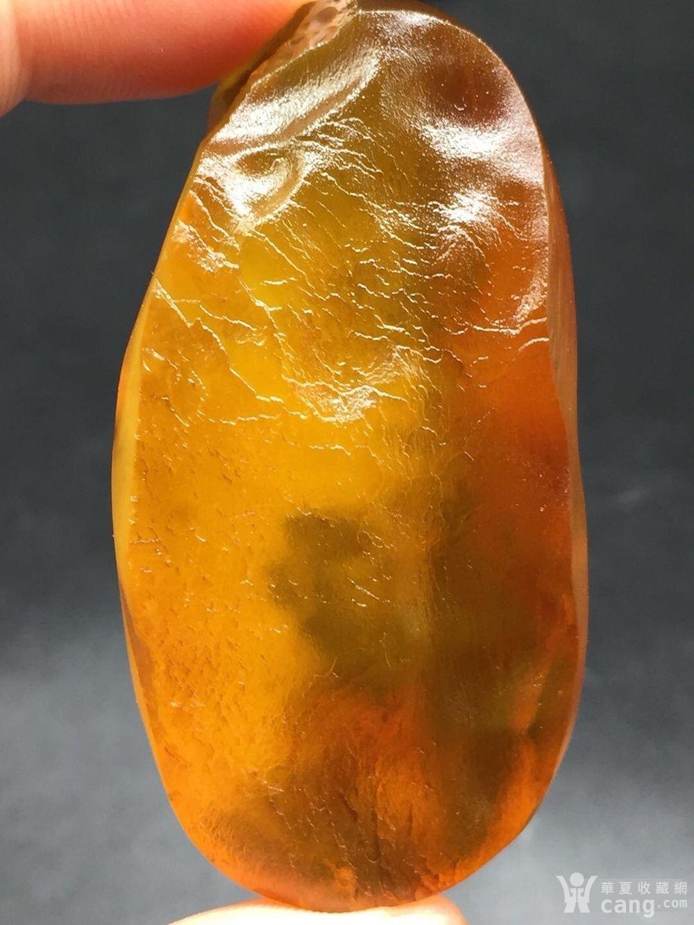 天然 金绞蜜 蜜蜡原石22克