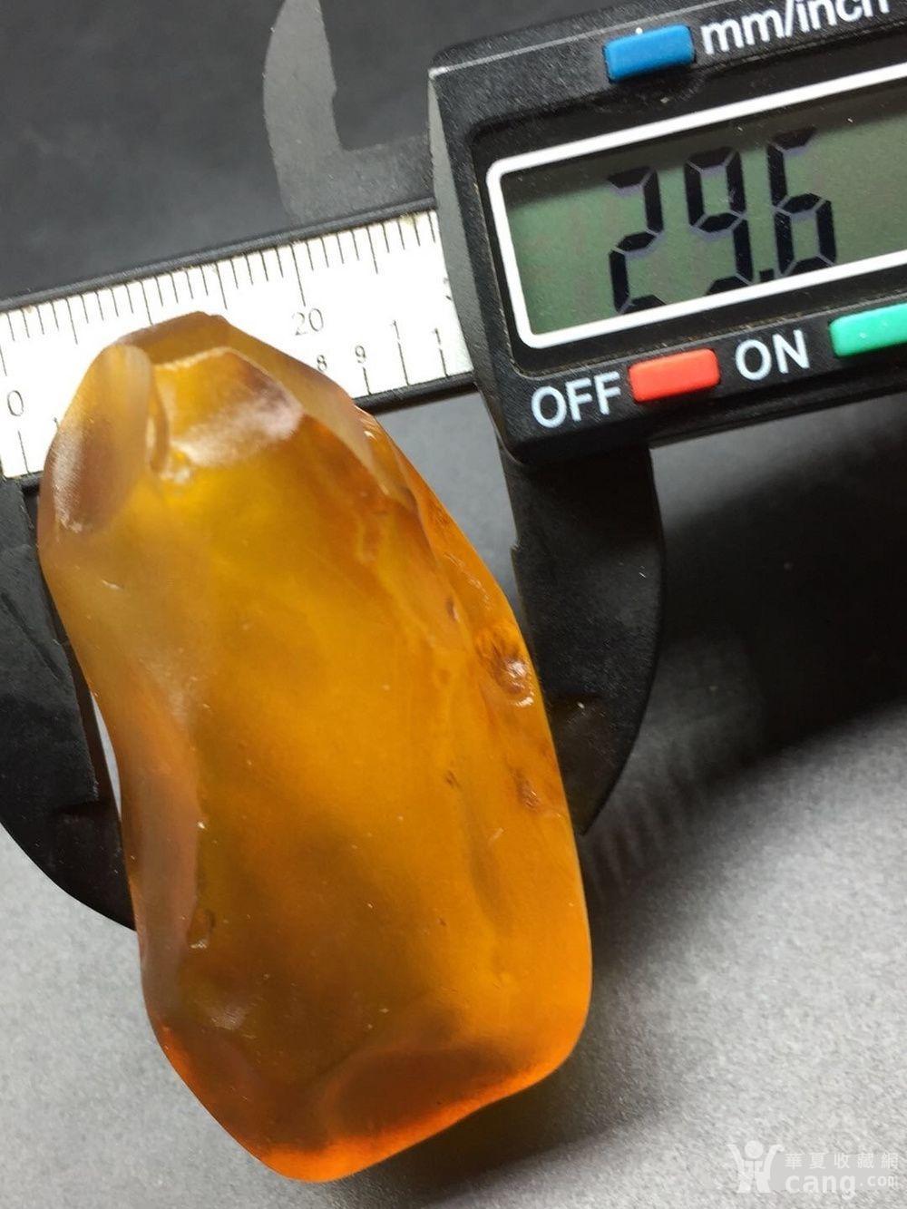 天然 金绞蜜 蜜蜡原石22克