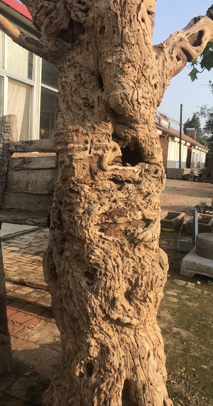 超级风化千年老枣树根雕