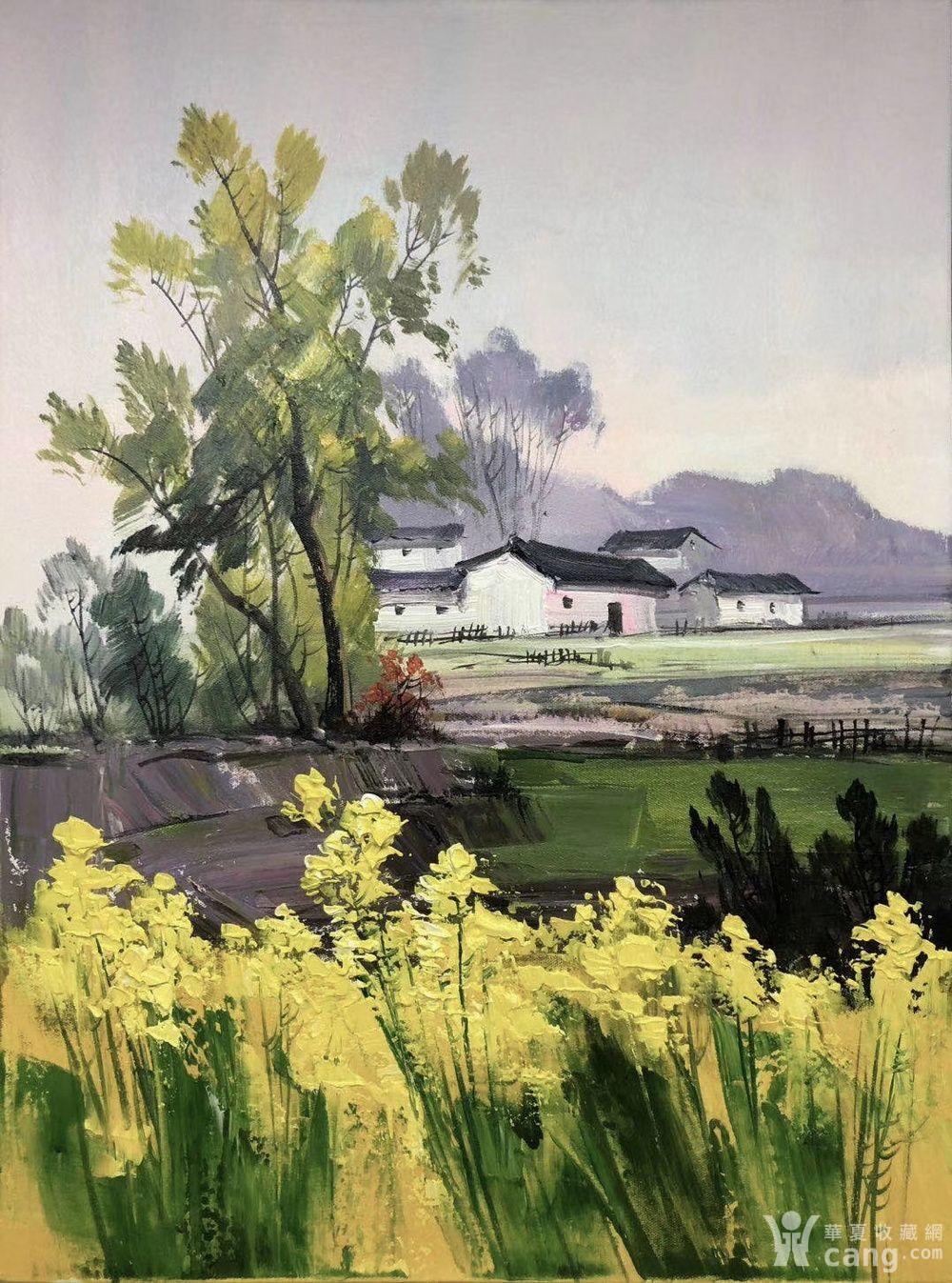 林喜展老师油画作品