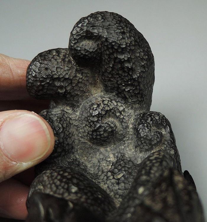 清代紫檀木雕佛手形笔架笔搁老木雕