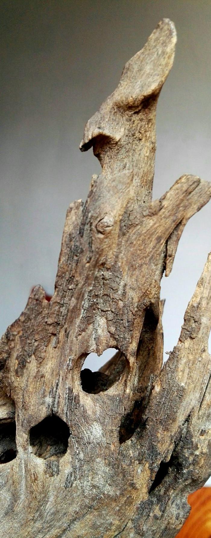 一块有淡淡香味瘦 漏 透的朽木山子