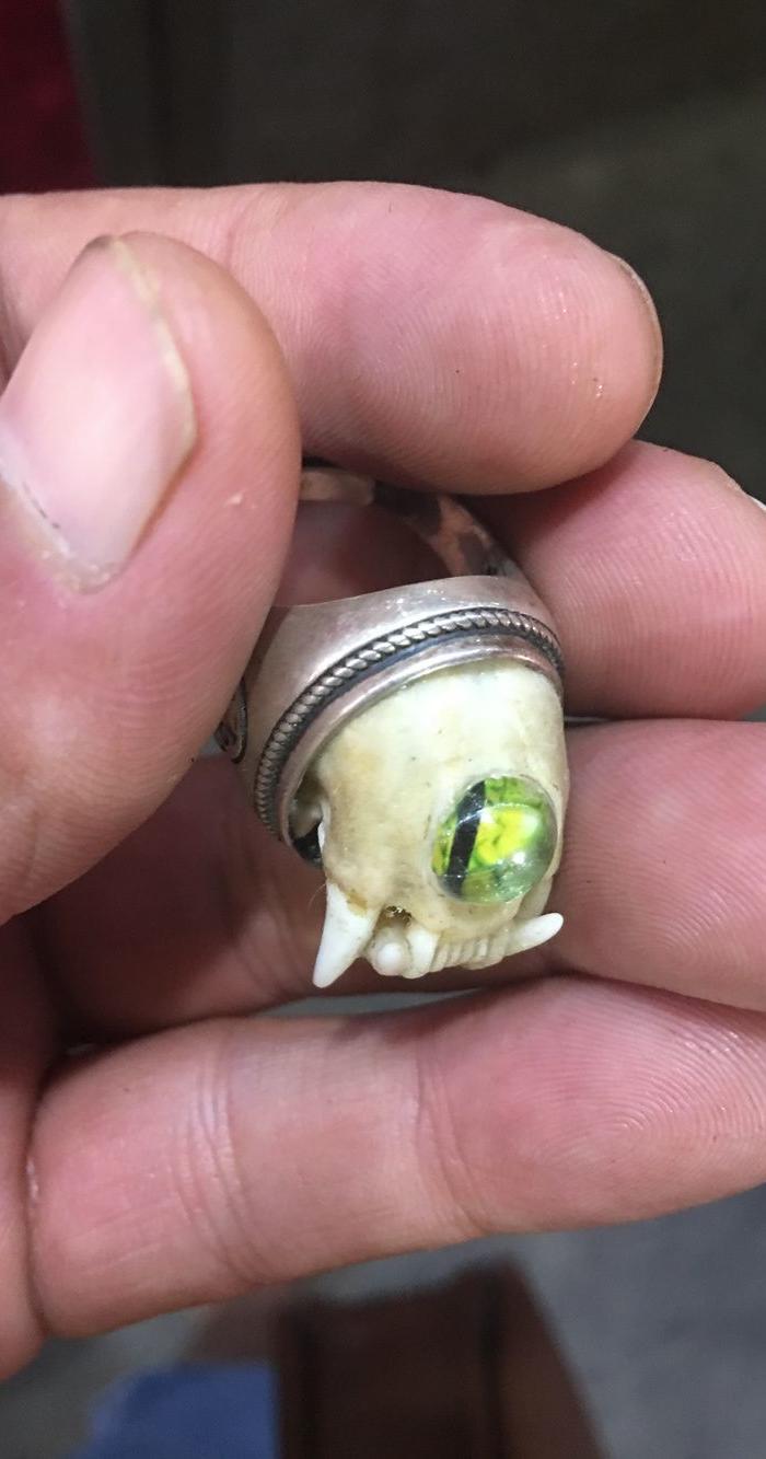老银戒指 水貂头骨
