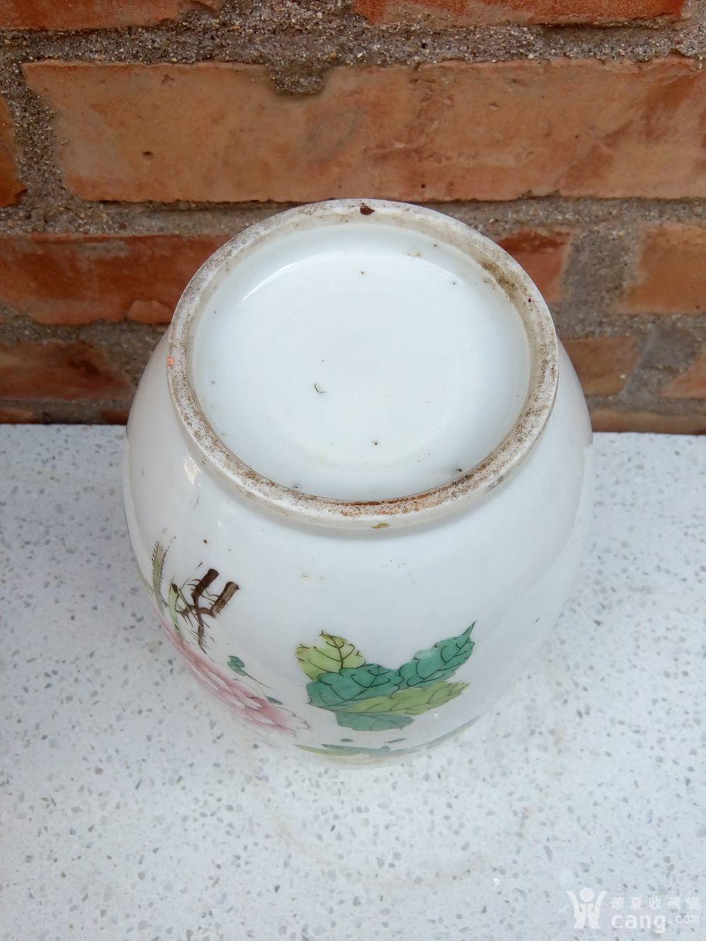 瓷器 民国 金竹轩花鸟罐