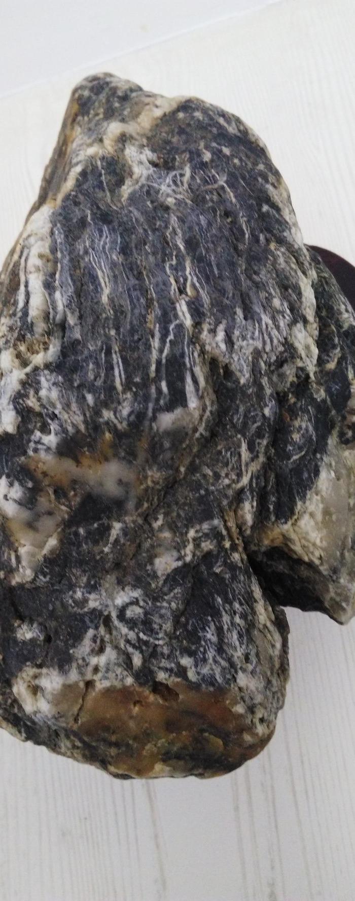 玉化木化石_地摊交易_华夏收藏网