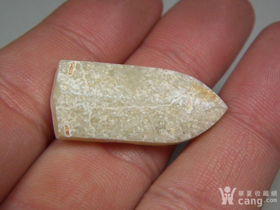 和田青白玉带鸡骨白灰*沁色玉蝉小口含