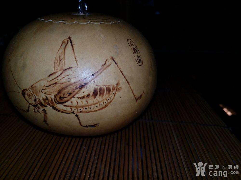 名家手工制作葫芦虫具 烫画蝈蝈葫芦