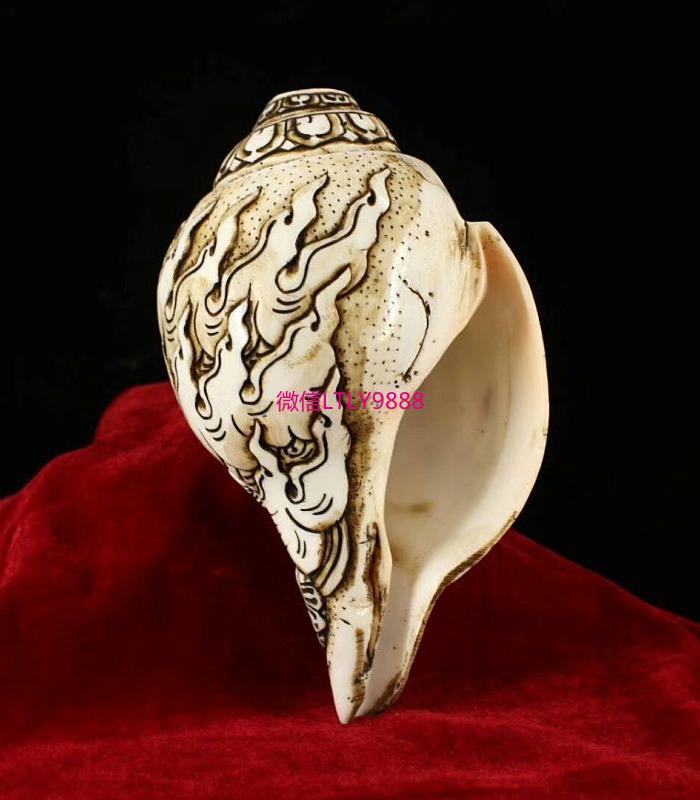 纯天然纯手工雕刻象鼻财神法螺17x10