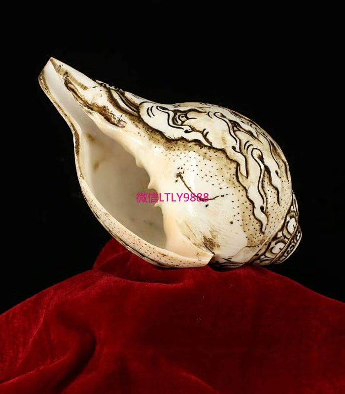 纯天然纯手工雕刻象鼻财神法螺17x10