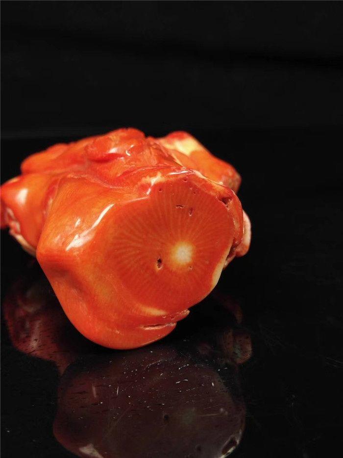 清代红珊瑚寿星摆件一个