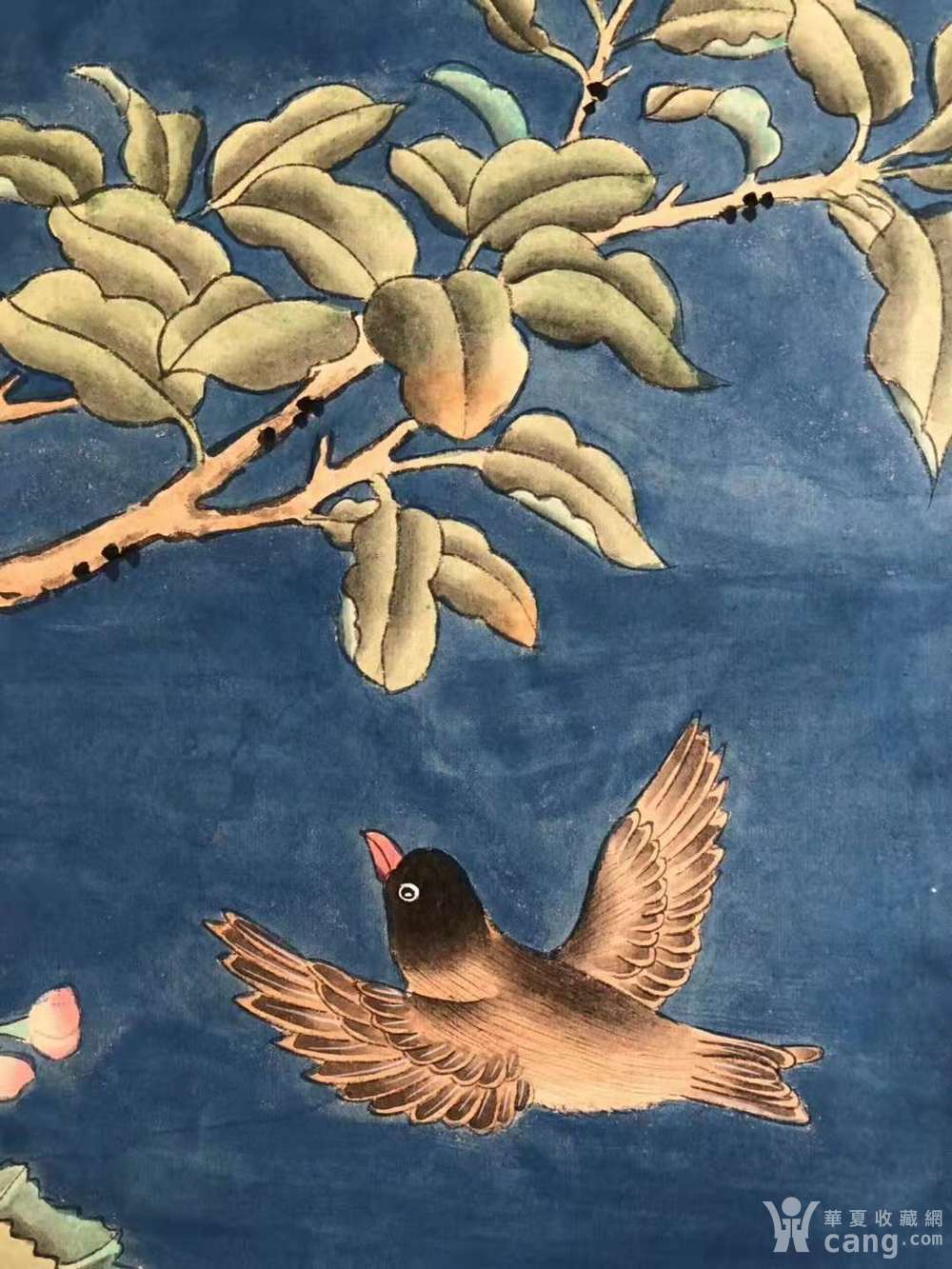 郎世宁 立轴 工笔花鸟