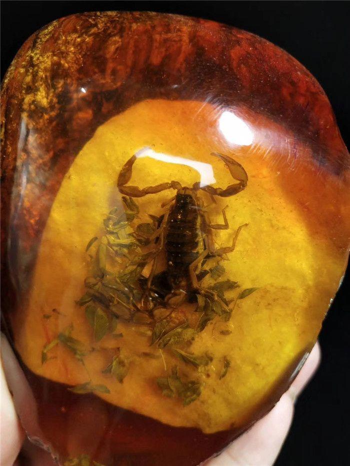 天然琥珀蝎子