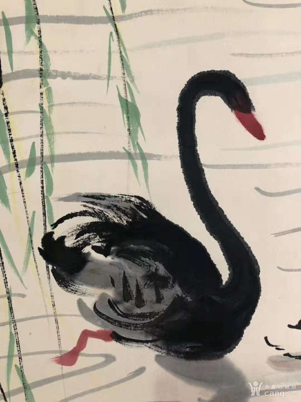 黑天鹅画法 国画图片