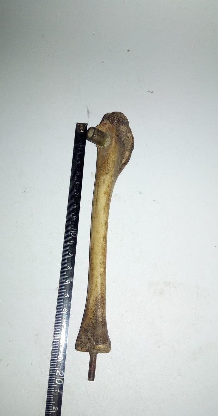 老鹤骨烟斗包老包邮不议价