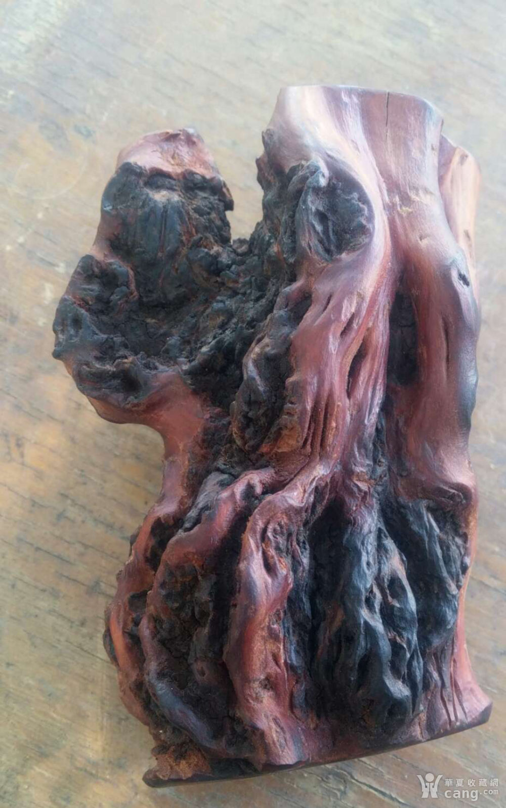 百年山茶木长寿木摆件_地摊交易_华夏收藏网