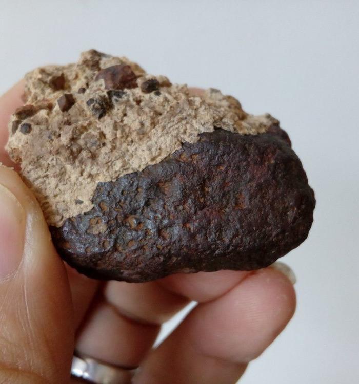 陨石 铁陨石 一块像 鸡心 的陨石