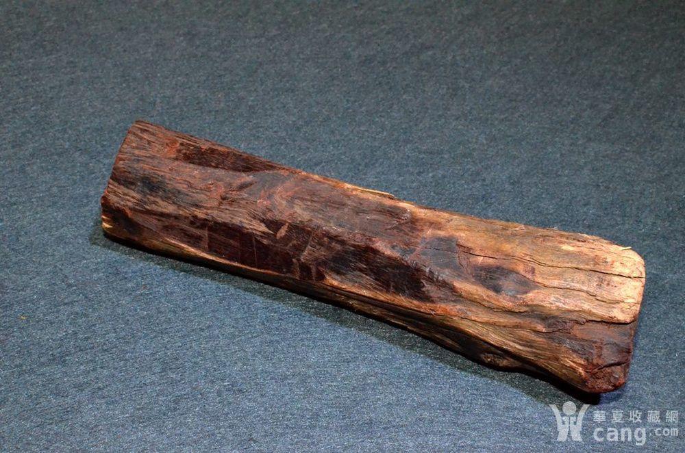 树根 印度小叶紫檀老树根一节