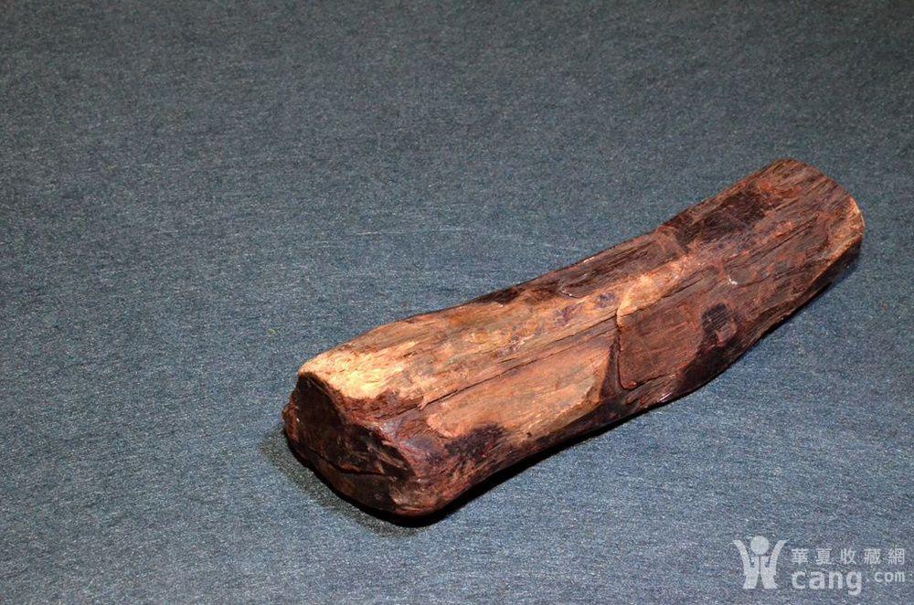 树根 印度小叶紫檀老树根一节