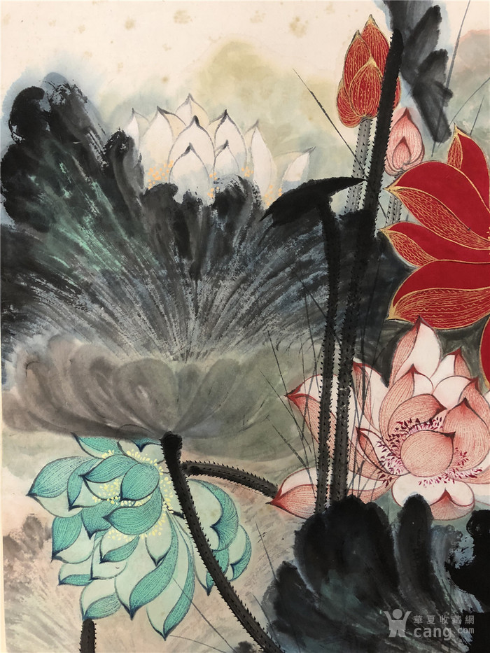 张大千五彩荷花图