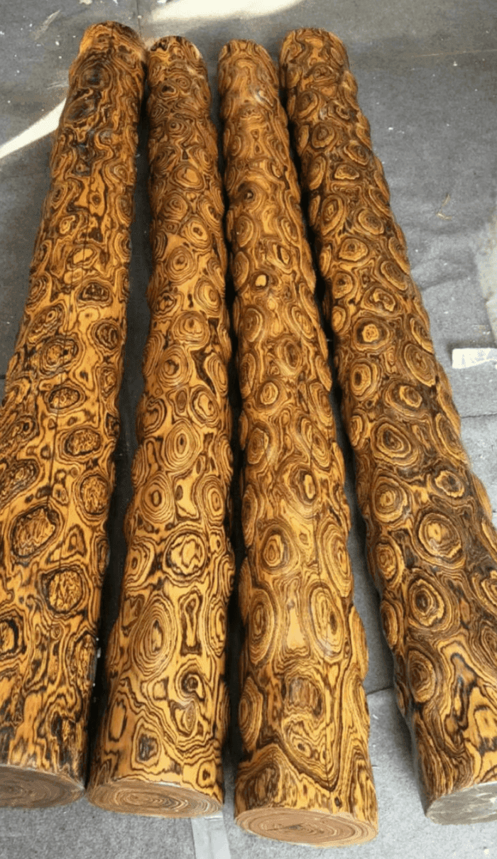 黄花梨木头原木