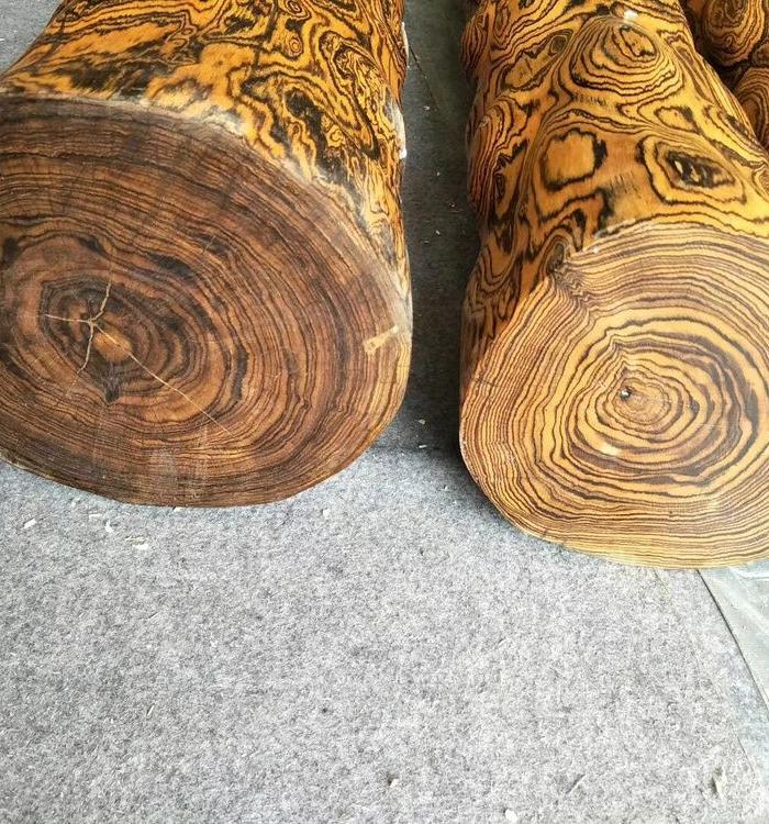 黄花梨木头原木