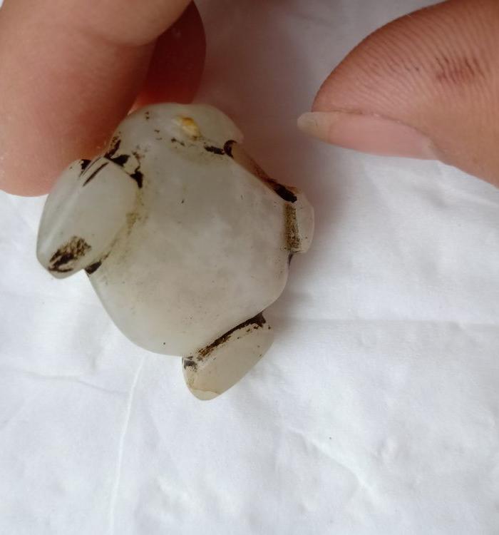 元明老白玉蛙一个出