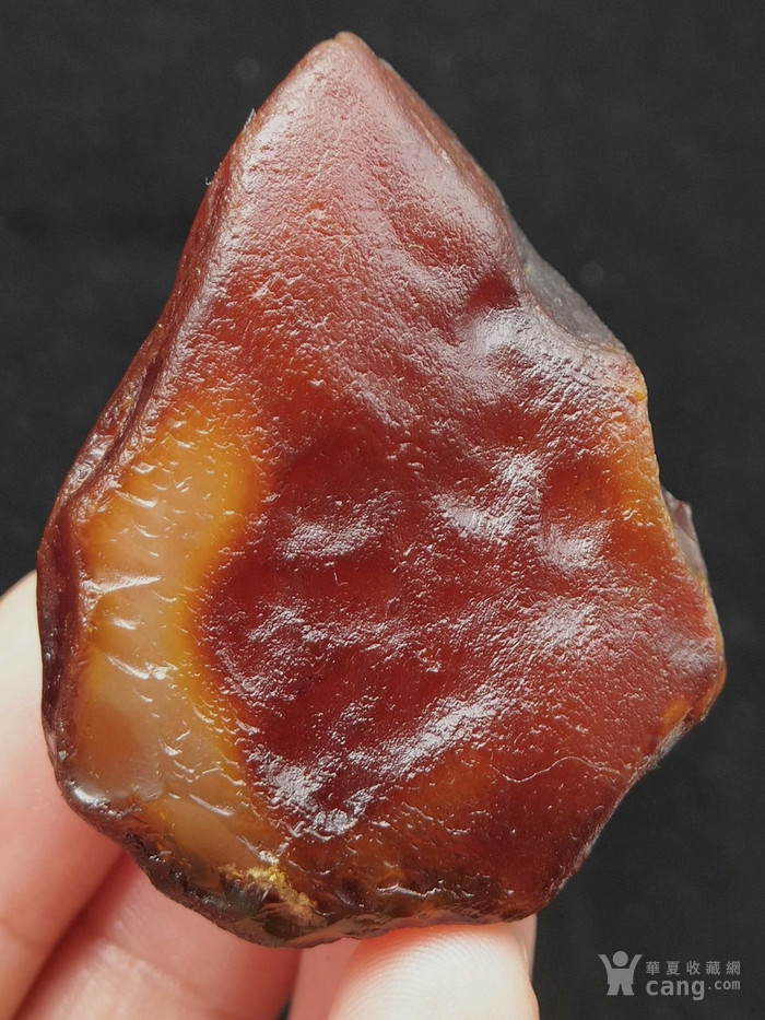 天然红* 金绞蜜 蜜蜡原石22克