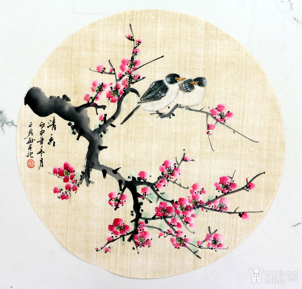 秦子君手绘国画花鸟字画收藏小品圆心小写意工笔花鸟