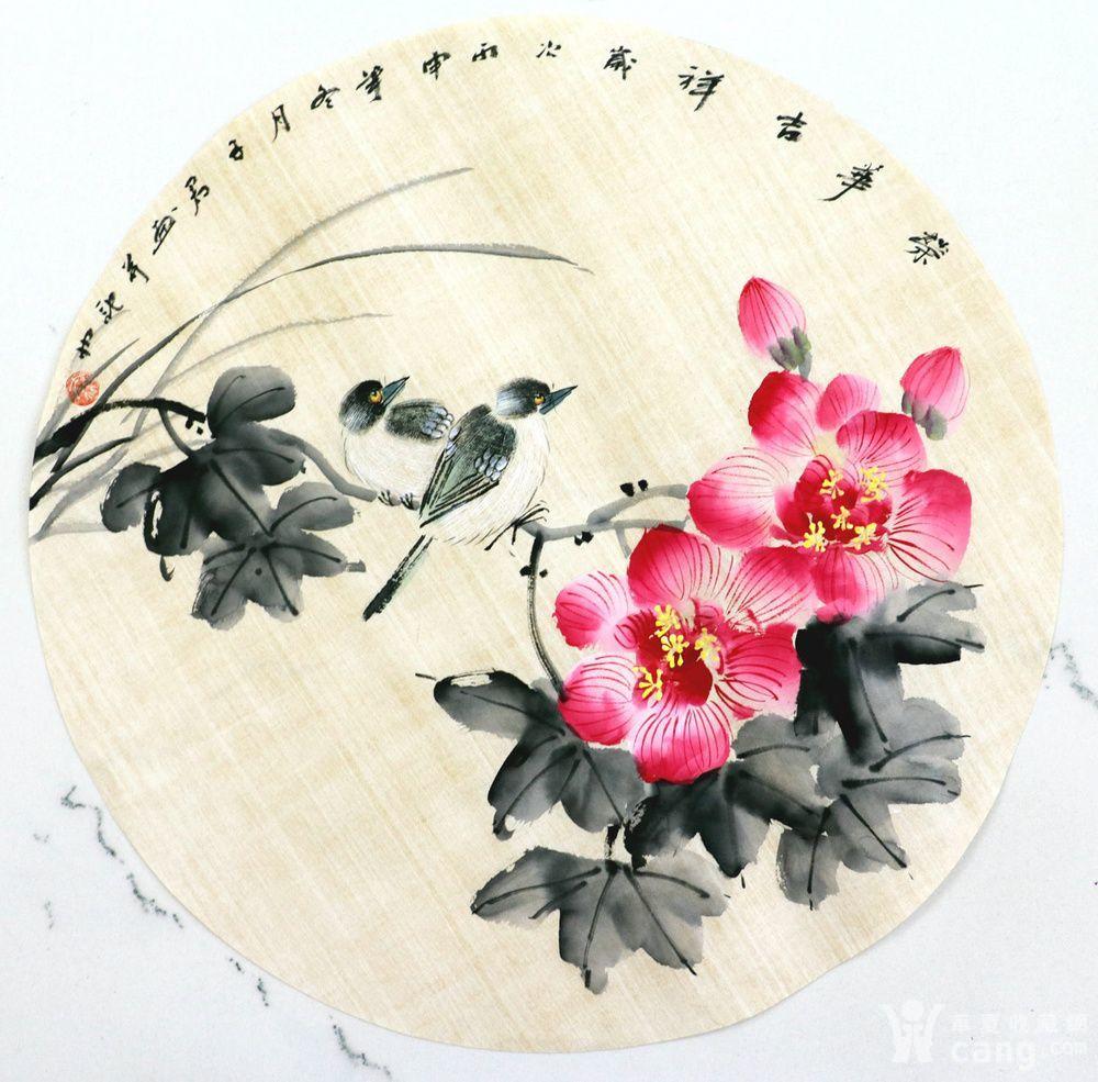 秦子君手绘国画花鸟字画收藏小品圆心小写意工笔花鸟