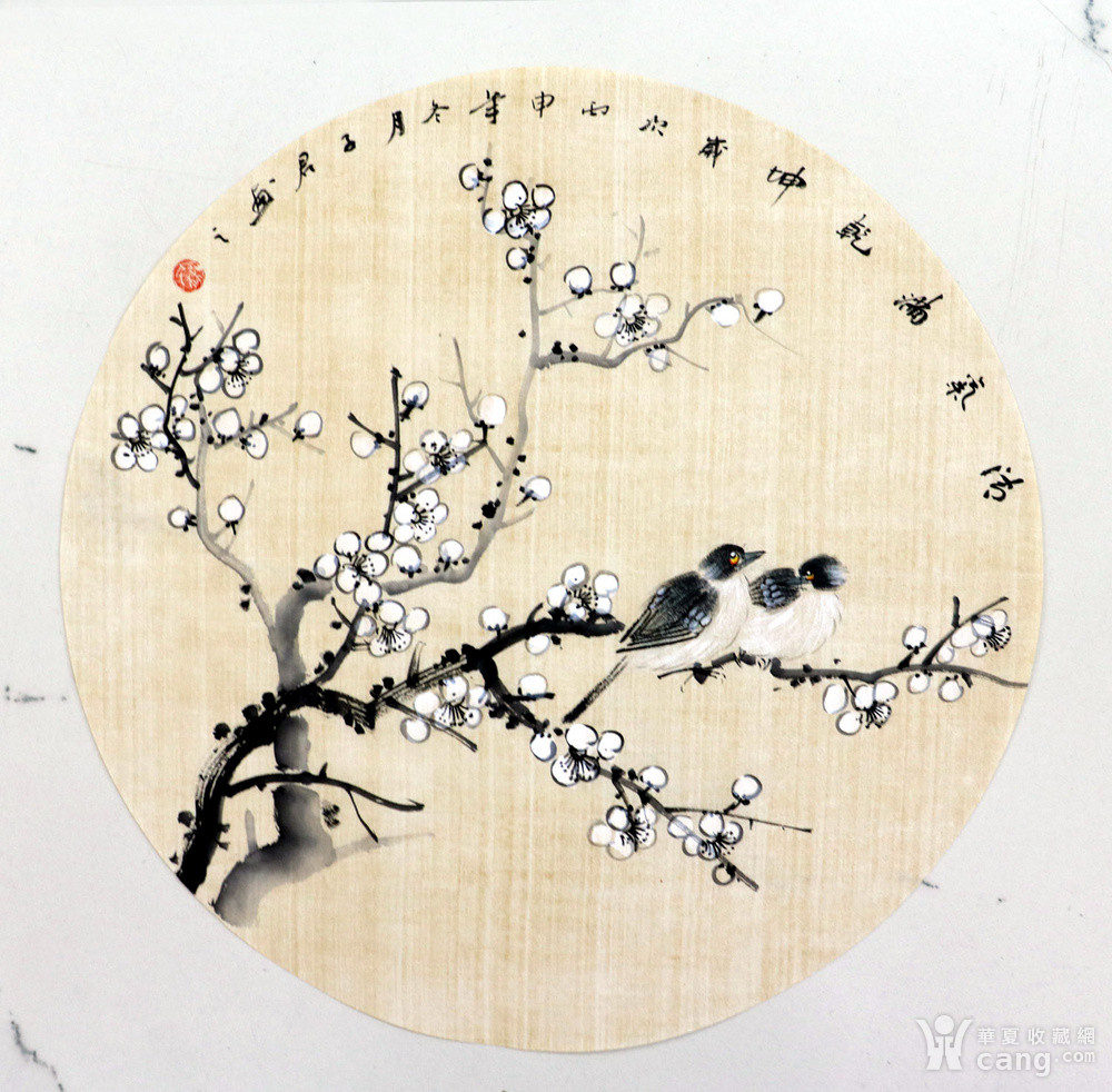 秦子君手绘国画花鸟字画收藏小品圆心小写意工笔花鸟