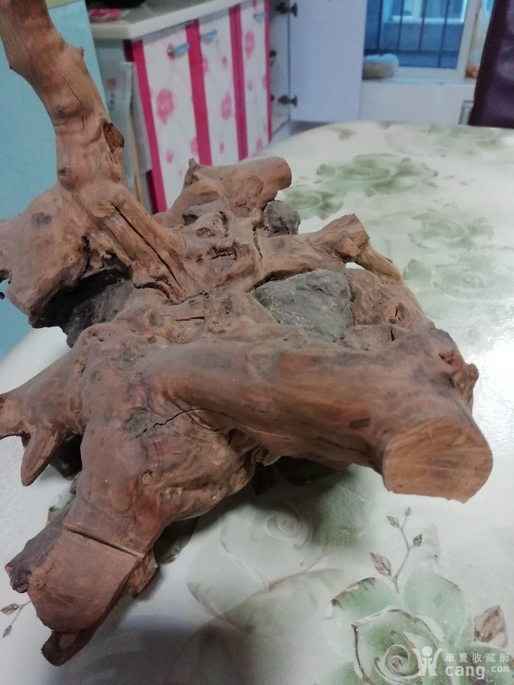 天然根抱石笔挂,自带摆台