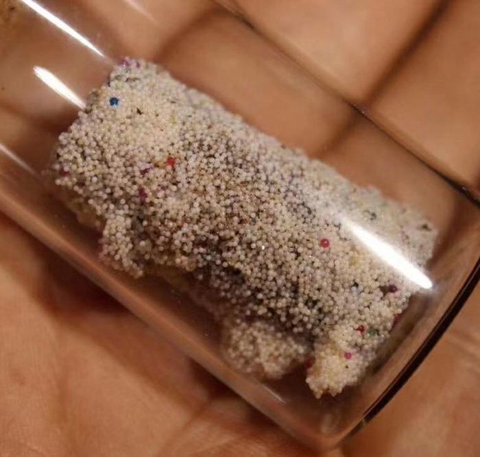 七色再生指骨舍利子