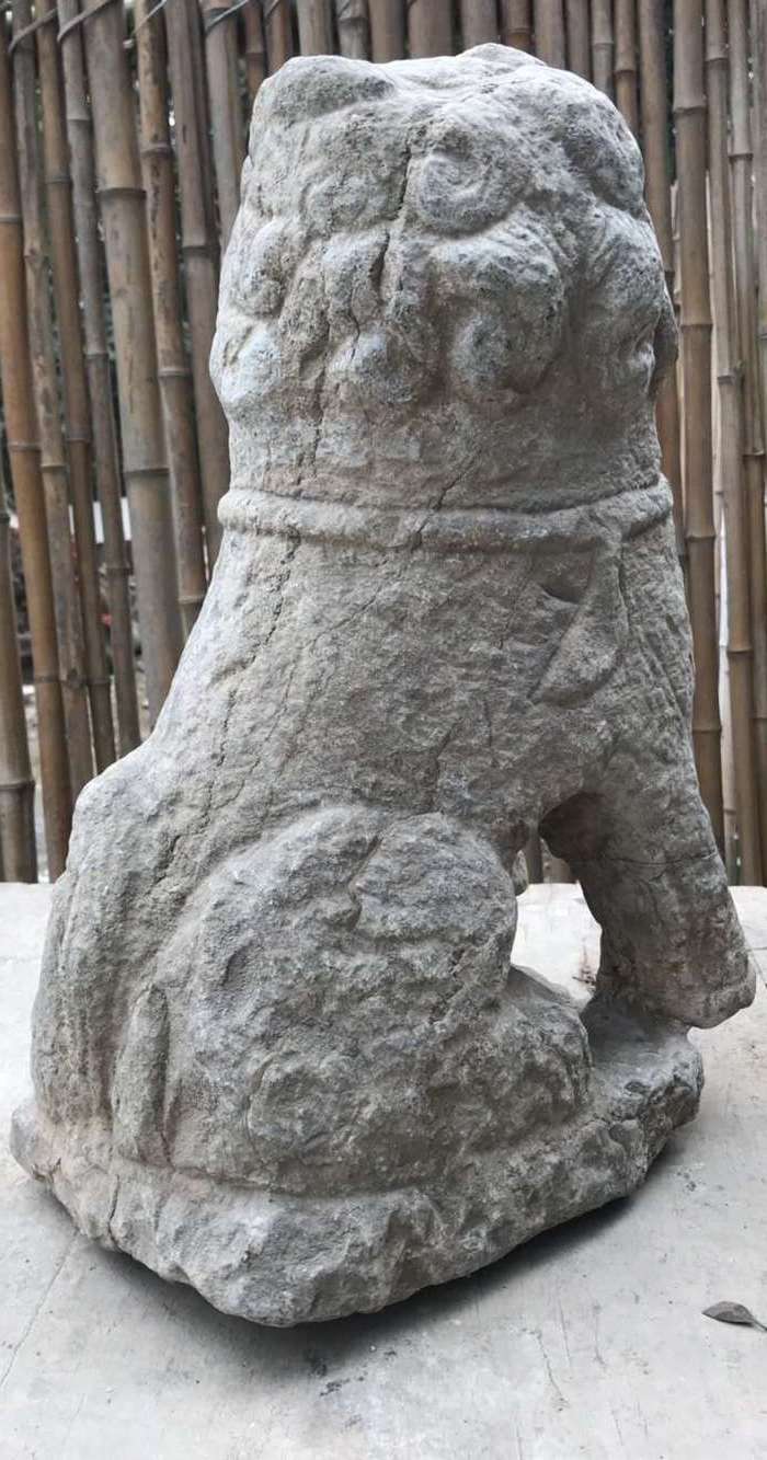 明代青石石狮子,包老