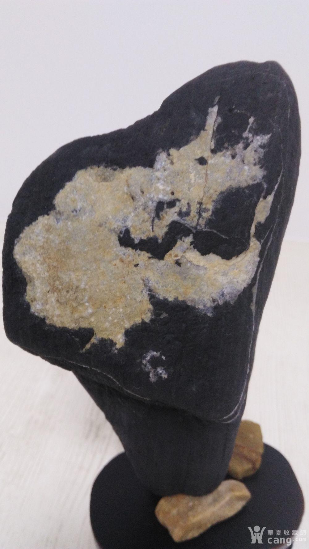 煤精石摆件 飞龙在天