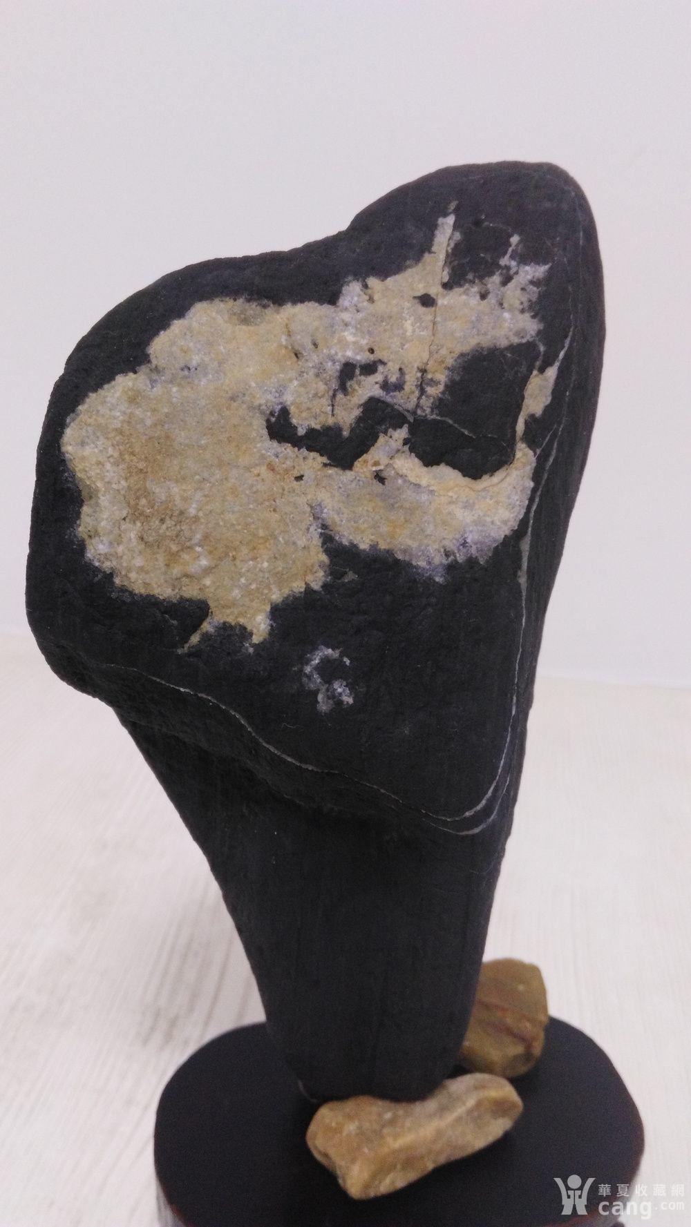 煤精石摆件 飞龙在天