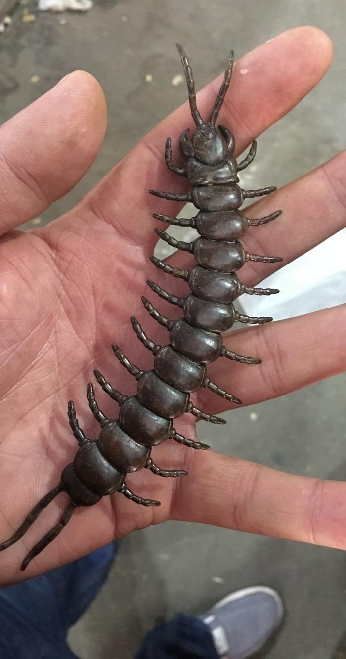 老铜蜈蚣 关节会动