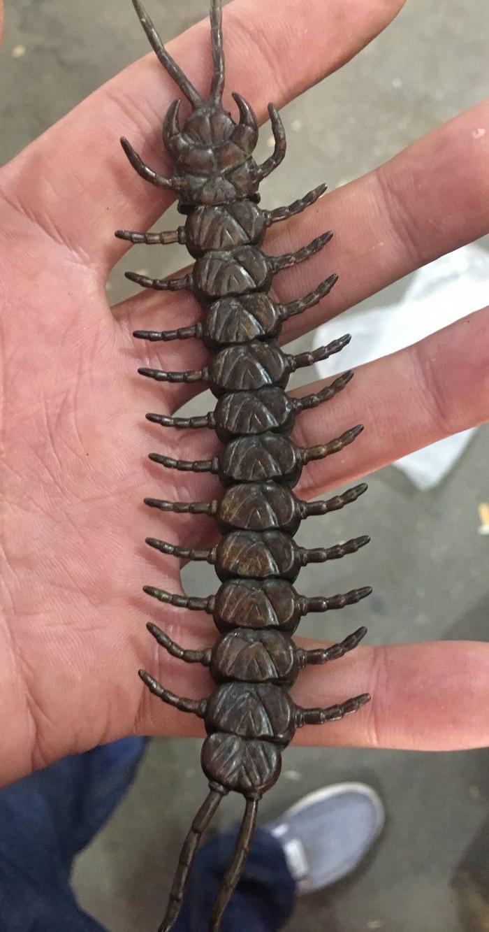 老铜蜈蚣 关节会动