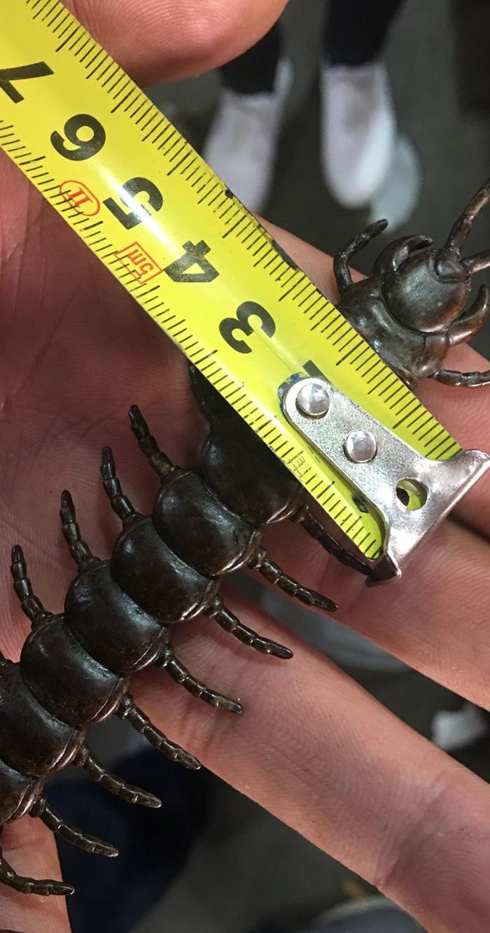 老铜蜈蚣 关节会动