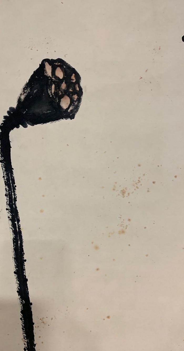 齐白石 莲藕蜻蜓