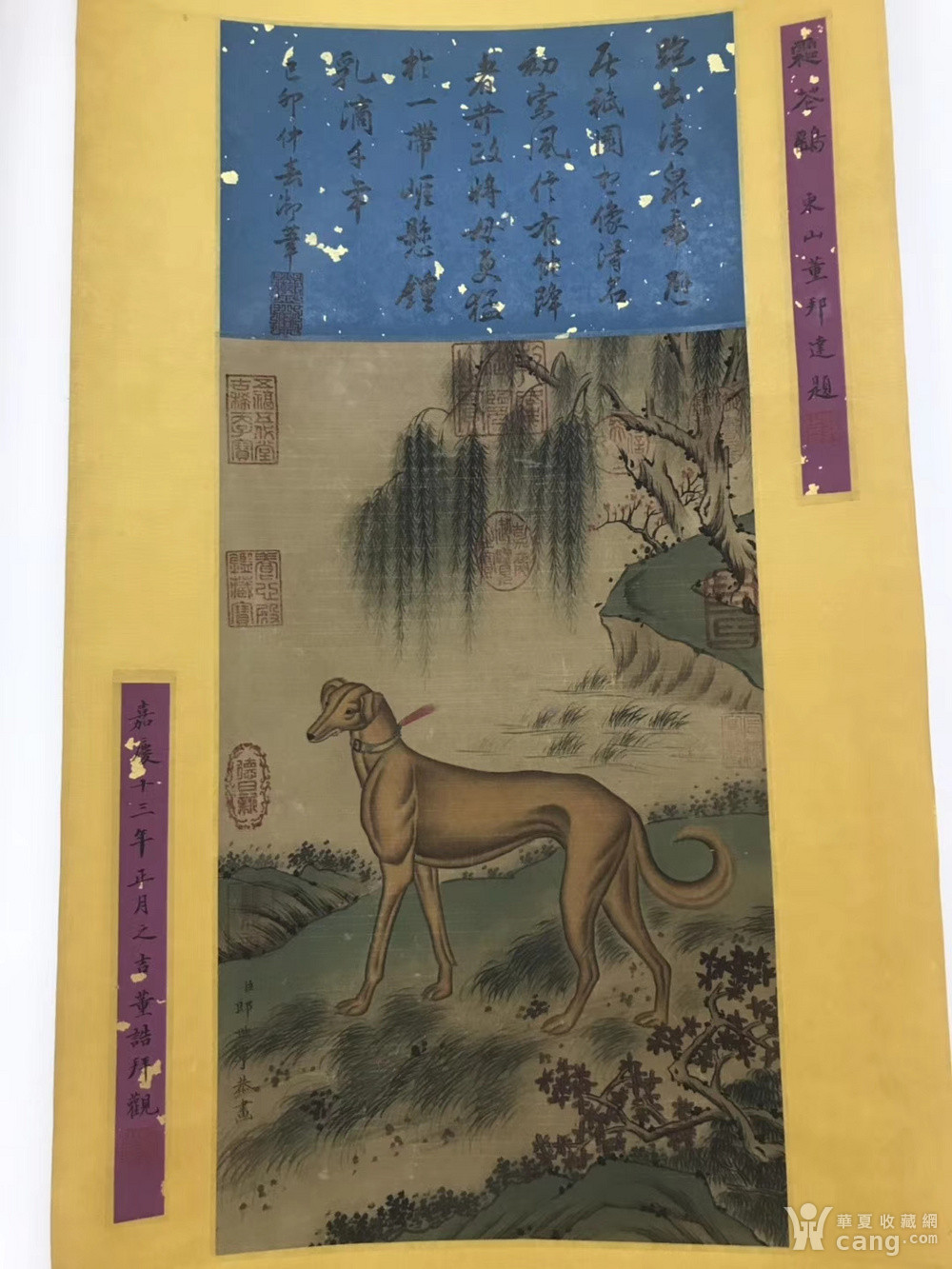 郎世宁十犬图 图册图片