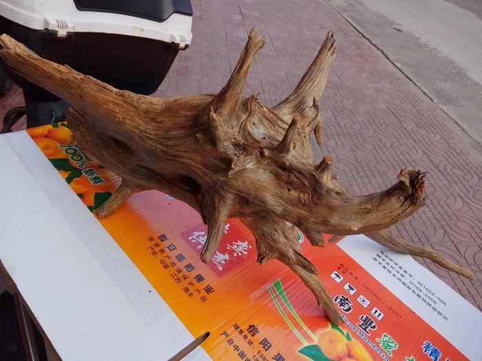 钟级5.9斤非卖品蜜香柏沉香味佳极香兜